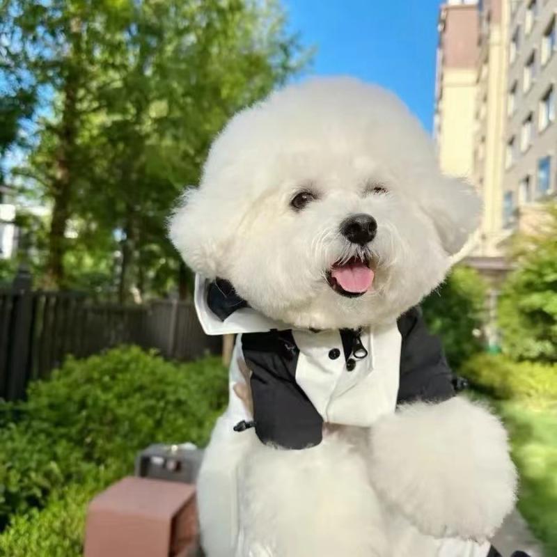 ペットウェア 犬用 猫用 保温 防寒 あったか 秋冬 ウィンドブレーカー ストリート系 トレンド パーカー..