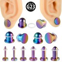 ボディピアス ユニセックス G23チタン グラデーションカラー 電気メッキ加工 ソリッド スムース ラウンド フラット シリンダー イヤーゲージ 耳たぶ 拡張器(x2)