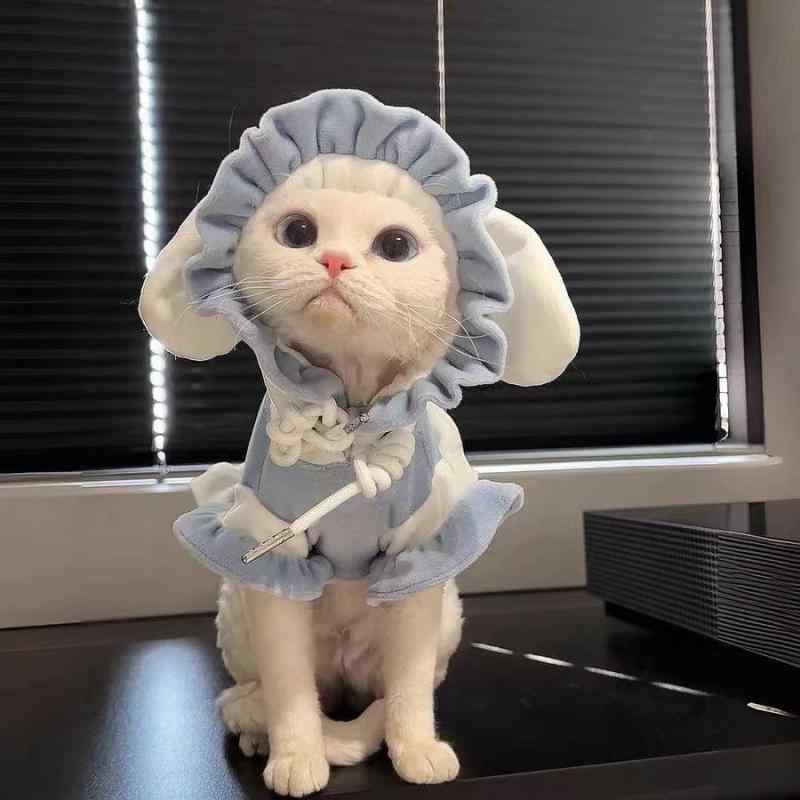 犬服 猫服 小型犬 秋冬 裏起毛 暖かい 防寒 ぬいぐるみ風 おもしろ かわいい トレーナー スウェット ト..