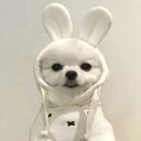 ペットウェア 犬猫兼用 抜け毛防止 かわいい 秋冬 韓国風 うさぎデザイン プルオーバー スウェット トレーナー 小型犬 テディ ポメラニアン ビションフリーゼ用