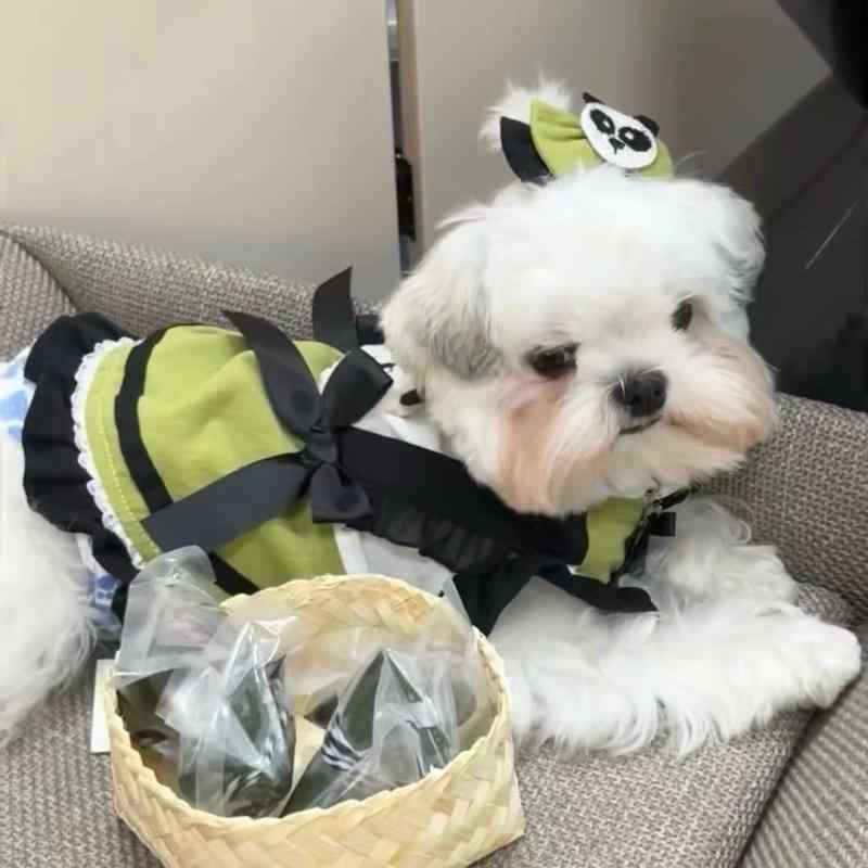 ワンピース 犬 猫用 ペットウェア ロリータ プリンセス風 レースフリル 小型犬 中型犬 オールシーズン快適 綿100% 肌に優しい かわいい キュート おしゃれ ドレス