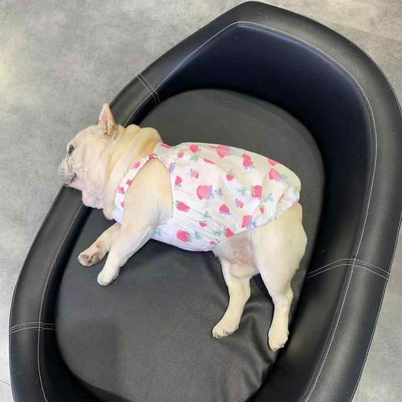 犬用 小型犬 フレンチブルドッグ パグ ブルドッグ ぽっちゃり犬向け 春夏 薄手 軽量 接触冷感 キャミソールワンピース バルーンスカート ベリー柄 ポリエステル 散歩 お出かけ 部屋着 ドッグウェア