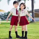 吸汗速乾 肌触り良い 綿素材 キッズ 男女兼用 スクール制服 春夏 幼稚園 小学生 1年生 発表会 クラス服 ワインレッド セットアップ