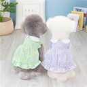 ペット用 ワンピース ドレス 小型犬 猫用 春夏 花柄 プリンセス風 カントリー調 かわいい コットン 綿 ビションフリーゼ テディ お散歩 お出かけ 涼しい 通気性 快適