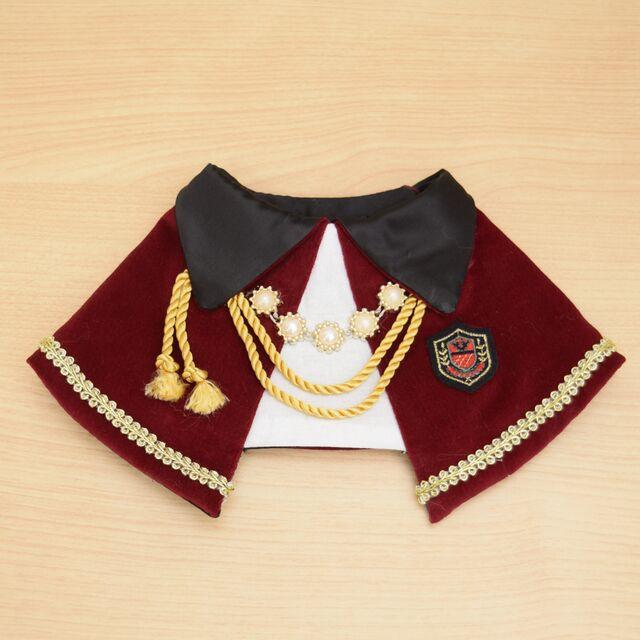 猫用アクセサリー コスチューム 襟飾り 首輪 ユニーク おもしろ かっこいい 変身グッズ 王様 公爵 タキシード ゾンビ 小型犬用 ペット用品 オールシーズン SNS映え