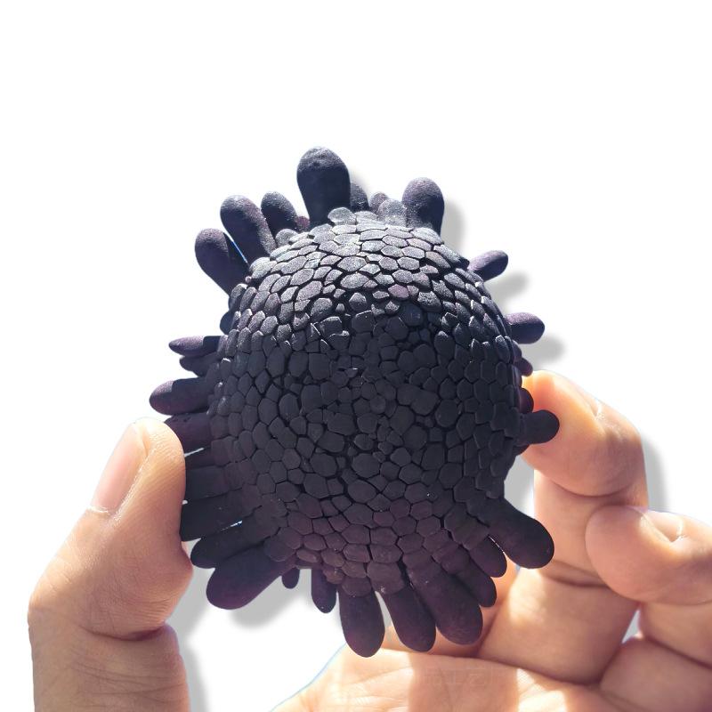 置物 天然貝殻 巻貝 ウニ殻 ヘルメット型 地中海風 マリンスタイル DIY 多肉植物プランター 植木鉢 ランプシェード インテリア デコレーション オブジェ おしゃれ ギフト プレゼント