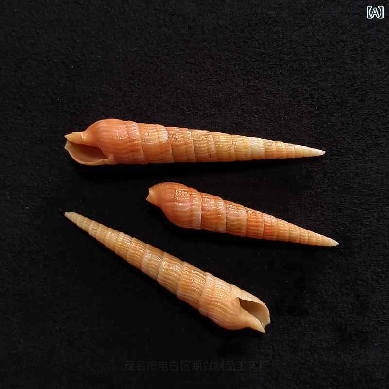  ŷ Ǻ ֱ Υ եǥ   ꥦ  ֥  ƥꥢ   쥯 ɸ վ ƾʪ