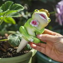 置物 カエル パンダ 樹脂製 自動給水器 水やり器 多肉植物 庭 ガーデン 飾り オブジェ マスコット 癒し カートゥーン風 屋外 ベランダ
