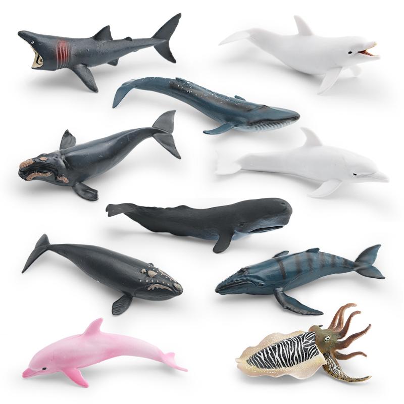 知育玩具 キッズ 子供向け リアル 海洋生物 フィギュア モデル コウイカ ウバザメ シロナガスクジラ マッコウクジラ ザトウクジラ イルカ 学習 置き物 ディスプレイ