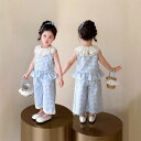 セットアップ キッズ 女の子 韓国風 おしゃれ フリル襟 ノースリーブトップス チェック柄 カジュアルパンツ 2点セット 春夏 普段着 部屋着 お出かけ かわいい 柔らかな肌触り 通気性抜群 ブルー 3歳 8歳 100cm 140cm対応