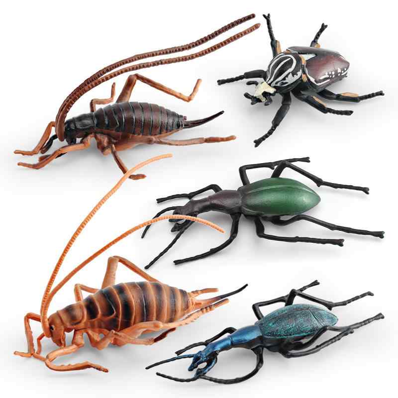 リアル 精巧 昆虫 動物 フィギュア キッズ 子供用 知育玩具 学習 オオツノハナムグリ コオロギ ミイデラゴミムシ 生物観察 PVC製 4歳 5歳 6歳向け ディスプレイ 置物