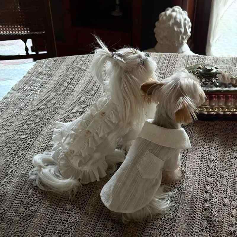 ドッグウェア 春夏 薄手 接触冷感 快適 かわいい クリームシャツ ワンピース ビションフリーゼ ヨーク..