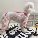 ペットウェア 小型犬 中型犬 猫用 散歩 汚れ防止 泥除け パンツ かわいい リボン インスタ風 韓国風 軽量 通気性 ポリエステル素材 外出用 カジュアル