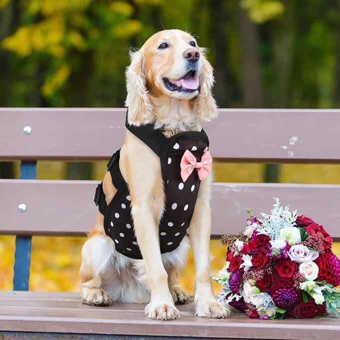 犬用 生理用ウェア お腹保護 胸元保護 撥水 防寒 通気性 シャツ ドッグウェア 術後服 介護服 マナーウ..