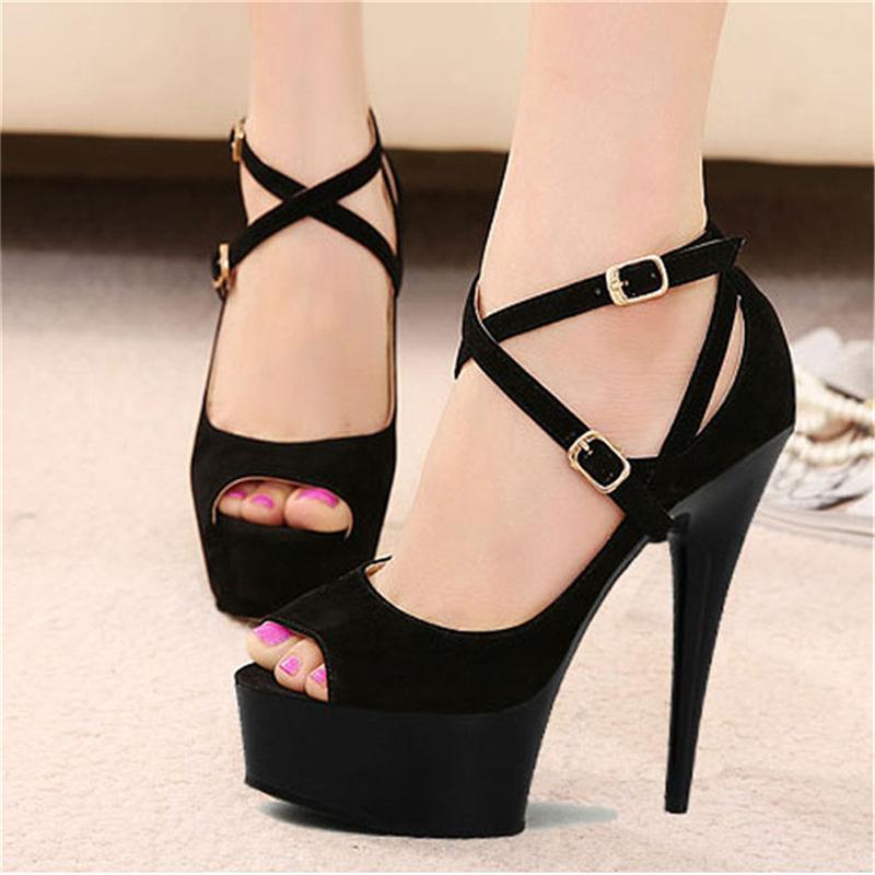 ѥץ ǥ  ץåȥե Ķϥҡ ƥåȥҡ ץȥ  ֥å եޥ ӥͥ ѡƥ ղ ǽ