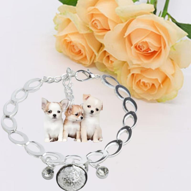 ペット首輪 猫用 犬用 うさぎ ラインストーン 鈴 麦穂モチーフ ジルコニア 銅製 シルバー 調整可能 お..