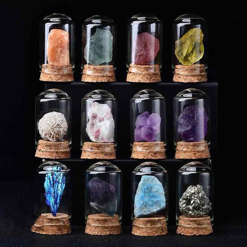 ŷ å Ҷ ʪɸ ¿ ե   徽    쥯 ʪ ֥ ƥꥢ ǥץ쥤 ե ץ쥼...