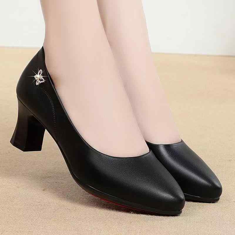 ѥץ ǥ ݥƥåɥȥ  ҡ ϥҡ 륢å ե ̶ ǥ꡼ ޥ եȹ ս 饤󥹥ȡ ...