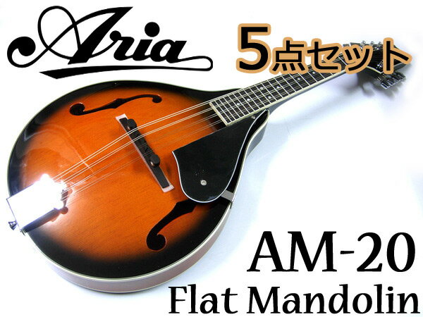 Aria/アリア AM-20 ベーシックモデル フラットマンドリン カントリーミュージックやブルーグラスに！