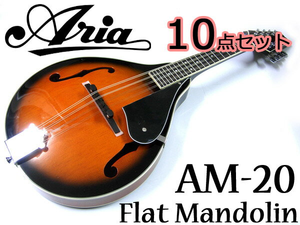 【超お得な10点セット 】Aria/アリア AM-20 ベーシックモデル フラットマンドリン カントリーミュージックやブルーグラスに 