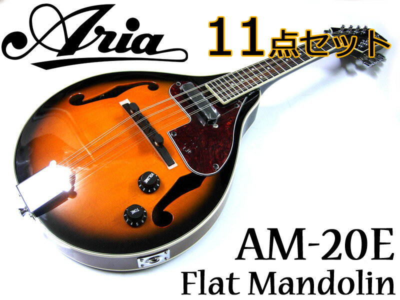 【超お得な11点セット！】Aria/アリア AM-20E ピックアップ付 ベーシックモデル フラットマンドリン カントリーミュージックやブルーグラスに！