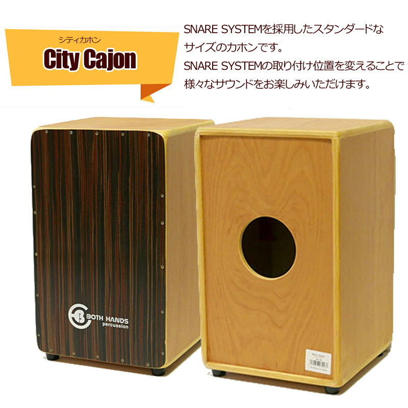 【今ならパッドをプレゼント♪】BothHands PERCUSSION BHC-P08 収納バッグ付 カホン ボスハンズシリーズ CAJON カホーン　打楽器 ラテンパーカッション アコースティックドラム【RCP】【P2】