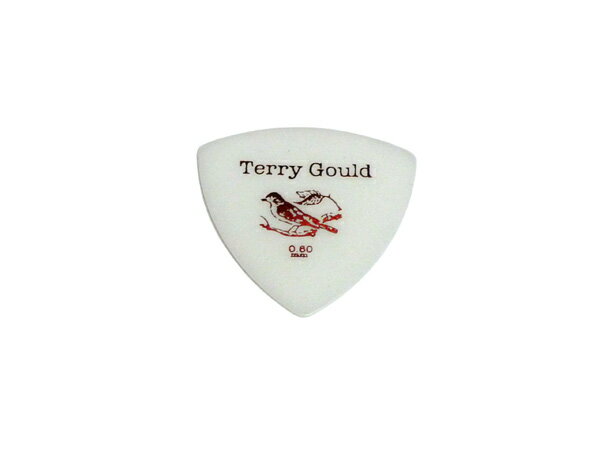 PICK BOY/ピックボーイ GP-TG-R/06 24枚セット 厚み：0.6mm ピック トライアングル（オニギリ） Terry Gould/テリーゴールド