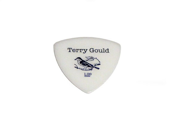 PICK BOY/ピックボーイ GP-TG-R/100 6枚セット 厚み：1.0mm ピック トライアングル（オニギリ） Terry Gould/テリーゴールド