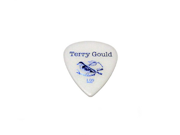 PICK BOY/ԥåܡ GP-TG-T/100 ߡ1.00mm ԥå ƥɥåסʥɡ Terry Gould/ƥ꡼