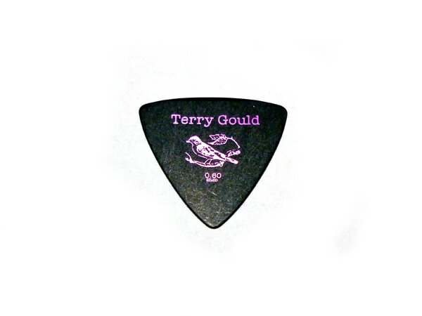 PICK BOY/ピックボーイ GP-TG-RB/06 厚み：0.6mm ピック トライアングル（オニギリ） Terry Gould/テリーゴールド