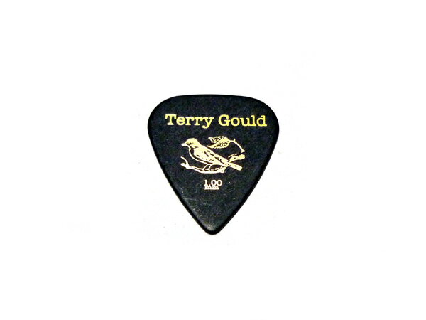 PICK BOY/ԥåܡ GP-TG-TB/100 ߡ1.0mm ԥå ƥɥåסʥɡ Terry Gould/ƥ꡼