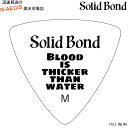 横山健 シグネイチャーピック トライアングル ホワイト ミディアム ken yokoyama Triangle Pick 3 White Medium PR3-WHM　ギターピック　ヨコヤマケン SOLID BOND ソリッドボンド ケンヨコヤマ