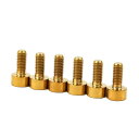 y|CgUPI429܂ŁzM^[p[c FU-Tone Titan Saddle Screw Set(6)-GOLD