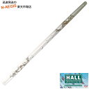 【ポイント10倍!期間限定!】HALL CRYSTAL Flute Eb Flute Offset Dragon クリスタルフルート Eb管 全長523mm