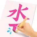 【今だけポイント10倍！】パイロットインキのおもちゃ スイスイおえかき for Study 何回も書ける！お習字入門水書きセット パイロットインキ