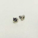SCUD スカッド パーツ PS06NH/ニッケル:レバースイッチ用ビス、ミリサイズ、2pcs Φ3xL6mm/オーバルヘッド 【送料無料】【smtb-KD】【...