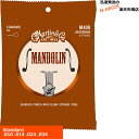 MANDOLIN STRINGS マンドリンは、アメリカンブルーグラスには不可欠な楽器です。 マーティンのマンドリン弦は、リッチで温かみのあるトーンと、きらびやかな高域の広がりを兼ね備えます。 80/20 Bronze 伝統の 80/20ブロンズ マンドリン弦。 錫メッキ鋼の芯線とブロンズ（青銅）の巻線で作られています。 Standard .010、.014、.024、.034 .010、.014、.024、.034