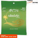 【ポイント5倍☆ブラックフライデー期間限定】Martin ウクレレ弦 M-610×1セット Graphite Grey Polygut コンサート用【P2】