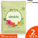 【ポイント5倍!サマーセール】1セットあたり1,000円!Martin ウクレレ弦 M-620×2セット Fluorocarbon テナー用【P2】