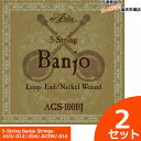 5-String Banjo Strings 5弦バンジョー用ニッケルワウンド弦。ループエンド仕様。 .010/.012/.016/.023W/.010