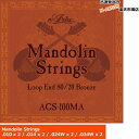 アリア マンドリン弦 Aria Mandolin Strings AGS-100MA×1セット その1