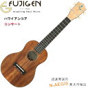 【ポイント5倍！店内全品 17日まで！】【あす楽】フジゲン コンサートウクレレハワイアンコア材 STANDARD TRADITIONAL STYLE FUJIGEN FGN Acoustic FUS-TC 日本製 国産 富士弦