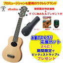 t悠IyԌv[gz\vmENS҃Zbg aNueNue/AkGkG aNN-SS1 Lumi Star Spruce1 Soprano Ukulele ̓̃v[gɁ X^[gZbg ZbgyP2zukuleleset