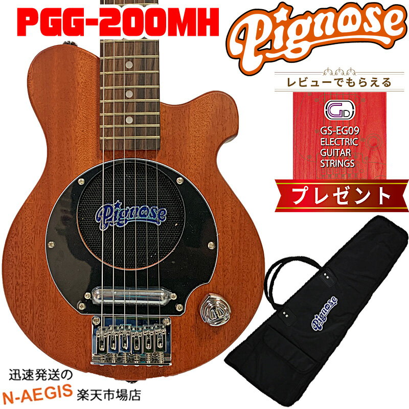 GIDエレキギター弦プレゼント♪　Pig