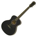 【ポイント10倍!期間限定!】ARIA ミニアコースティックギター ARIA-151MTBK(Black, Matt) ケース付 アリア ARIA-151 ...