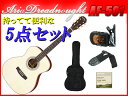 【初心者向け5点セット】Aria Dreadnought AF-501/NAT ナチュラル トップ・サイド:オールソリッド Auditorium(オーディトリアム)サイズ フォークサイズ アリアドレッドノート アリドレ【送料込】【smtb-KD】【P5】