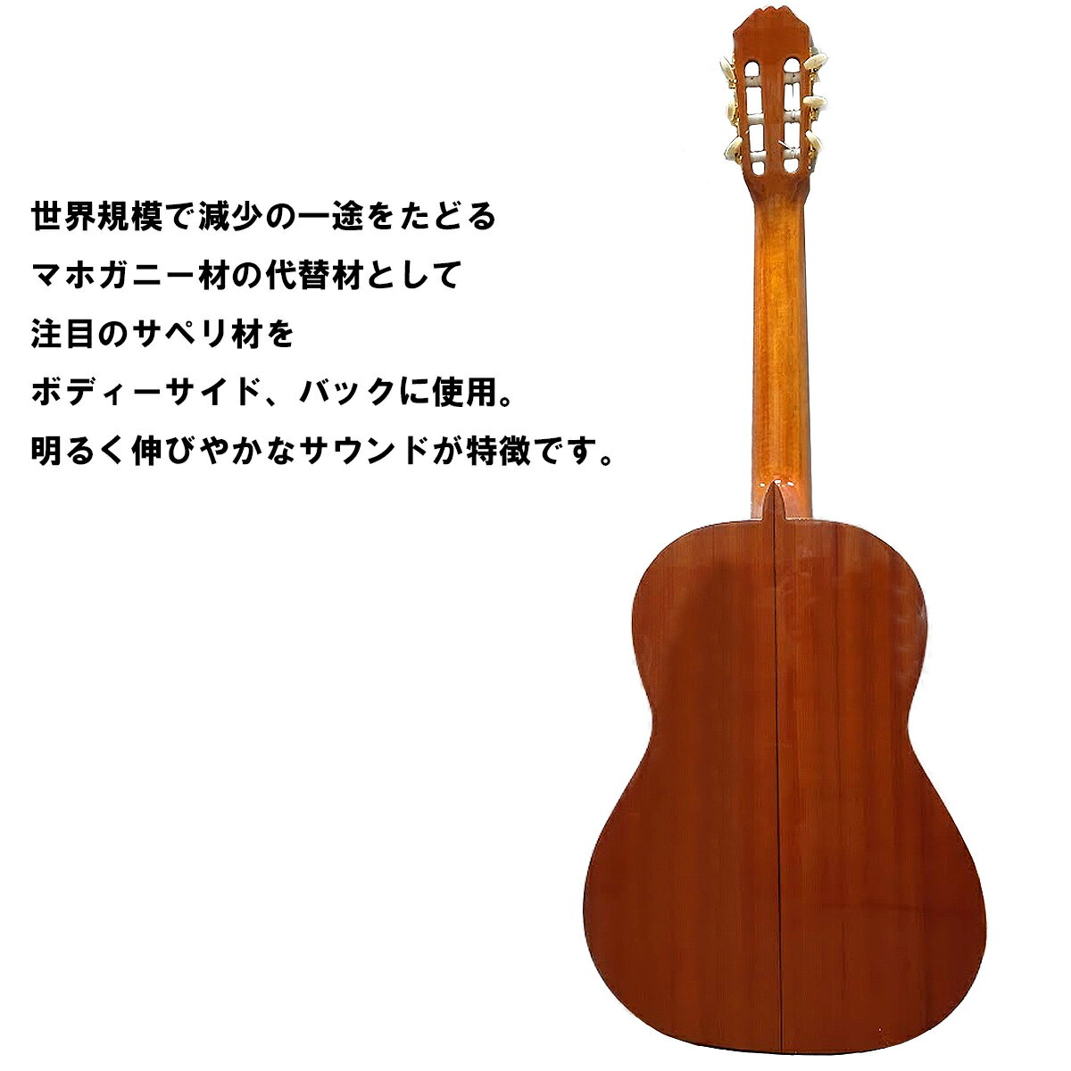 アリア クラシックギター ARIA コンサートギター ACE-5S スプルーストップ ケース付 クラシックギター Made in Spain 202512ss