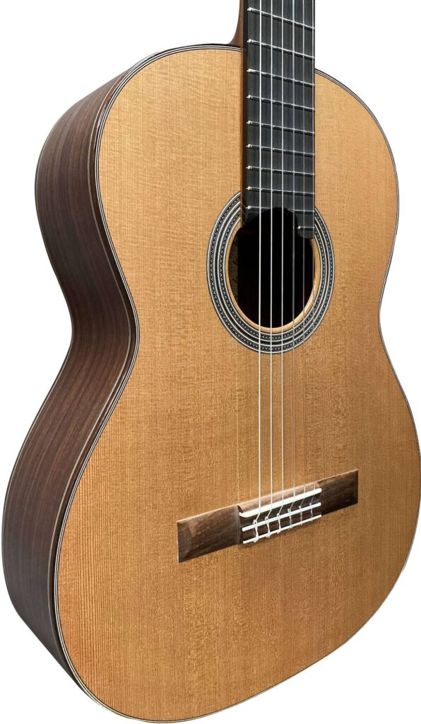 Asturias アストリアス ダブルトップ ローズ DOUBLE TOP ROSE クラシックギター 20...