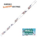 【ポイント10倍!期間限定!】クリスタルフルート D管 HALL CRYSTAL Flute D Offset Carolina 全長553mm 【P5】