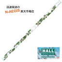 【ポイント10倍!期間限定!】クリスタルフルート D管 HALL CRYSTAL Flute D Offset Ivy 全長553mm 【P5】